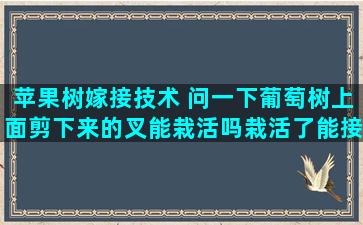 苹果树嫁接技术 问一下葡萄树上面剪下来的叉能栽活吗栽活了能接葡萄吗